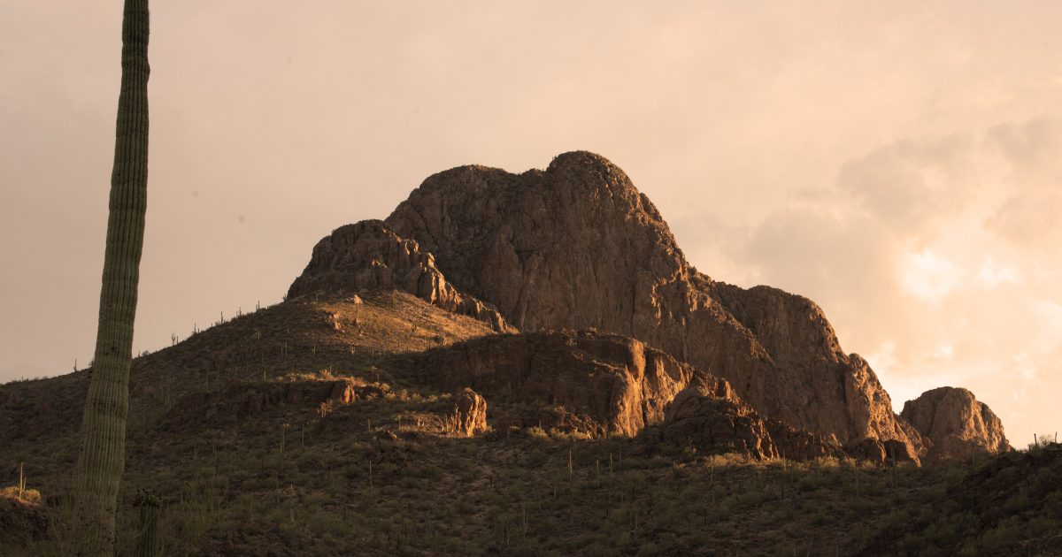 The Cottage at Sanctuary Cove The Most Unique Rental Cottage in Marana