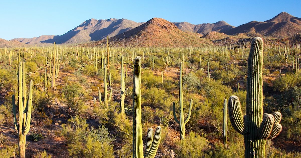 Saguaro National Park Tickets