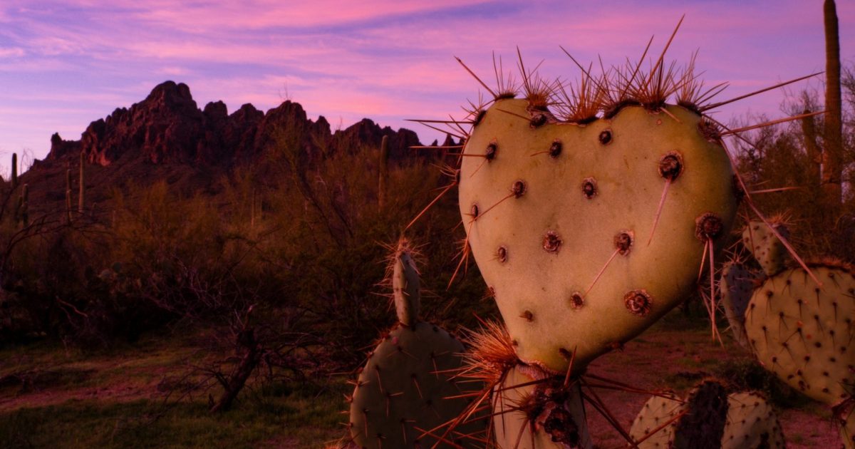 Picture the Future of Marana Tourism Economy
