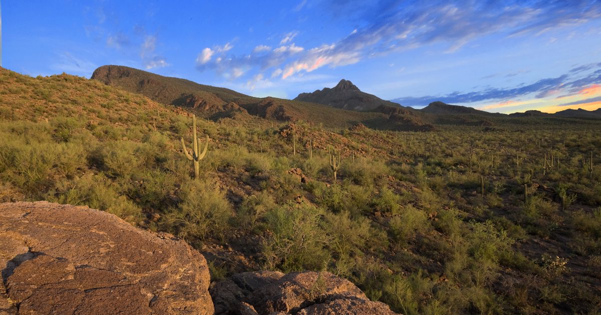 Marana Az Weather