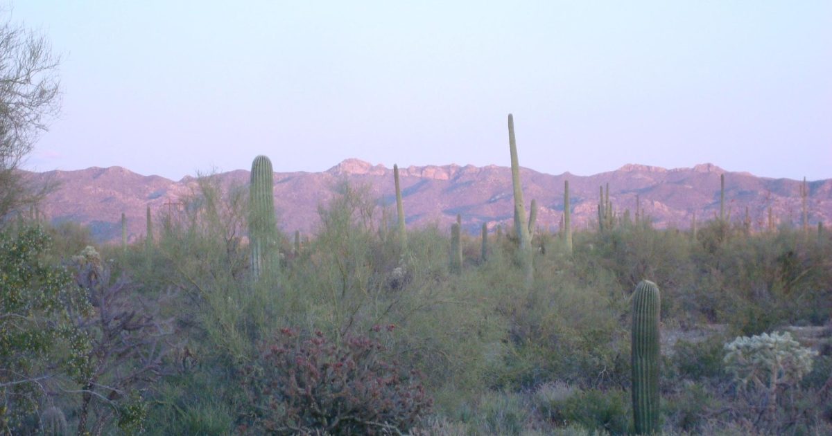 Driving Directions To Marana, AZ Discover Marana