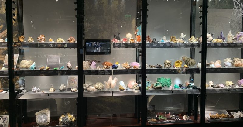 wamilies THE MINERAL 2個セット Alfie Norville Gem & Mineral Museum - Discover Marana | Discover